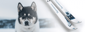 Åsnes Finmark 54 waxless jaktski