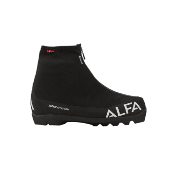 Alfa Scenic perform gtx m